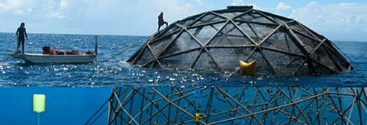 Geodesic Domes For Deep Sea Fish Farming